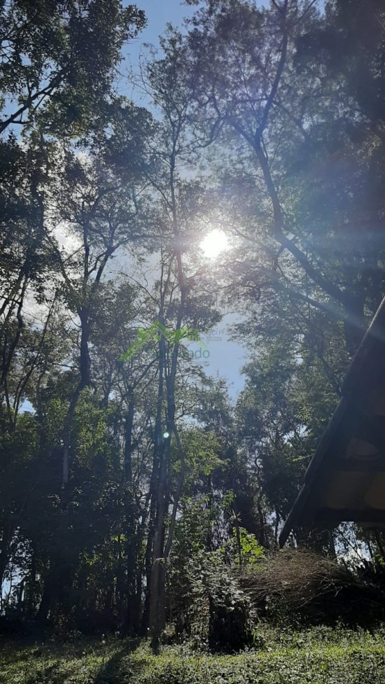 chacara-venda-bairro-charneca-betim-mg-1055932